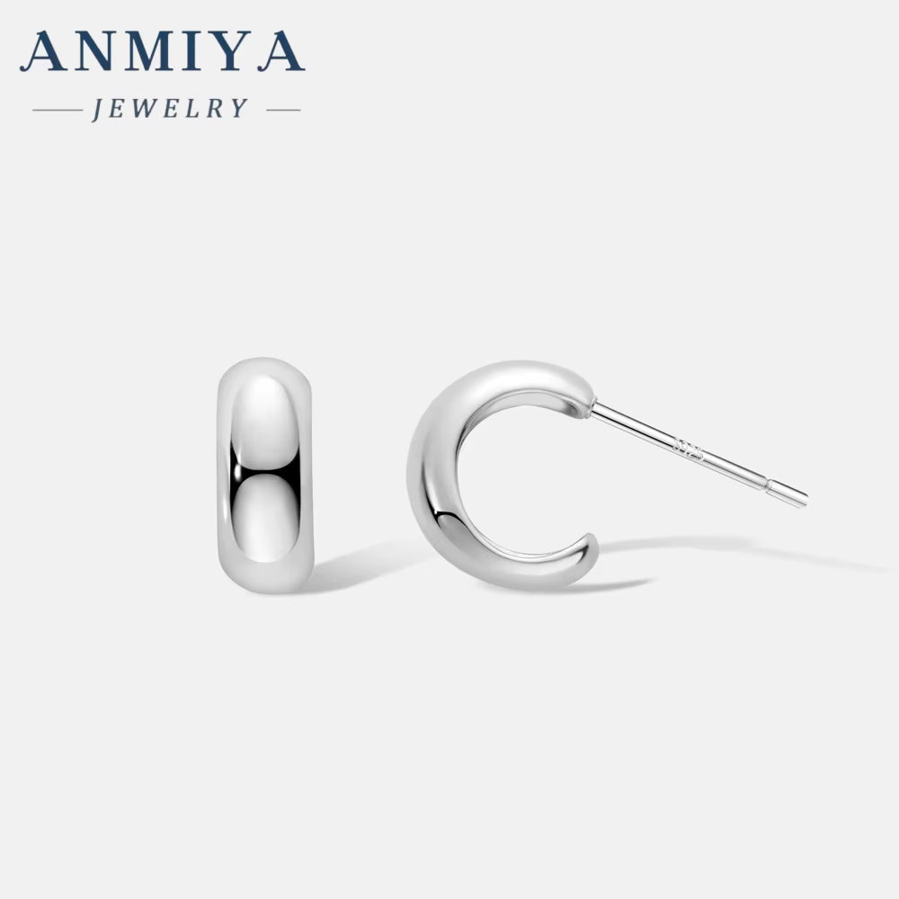 2024 Hot Temperament Fashionable Statement Fine Jewelry Earrings Circle 925 Sterling Silver for Women